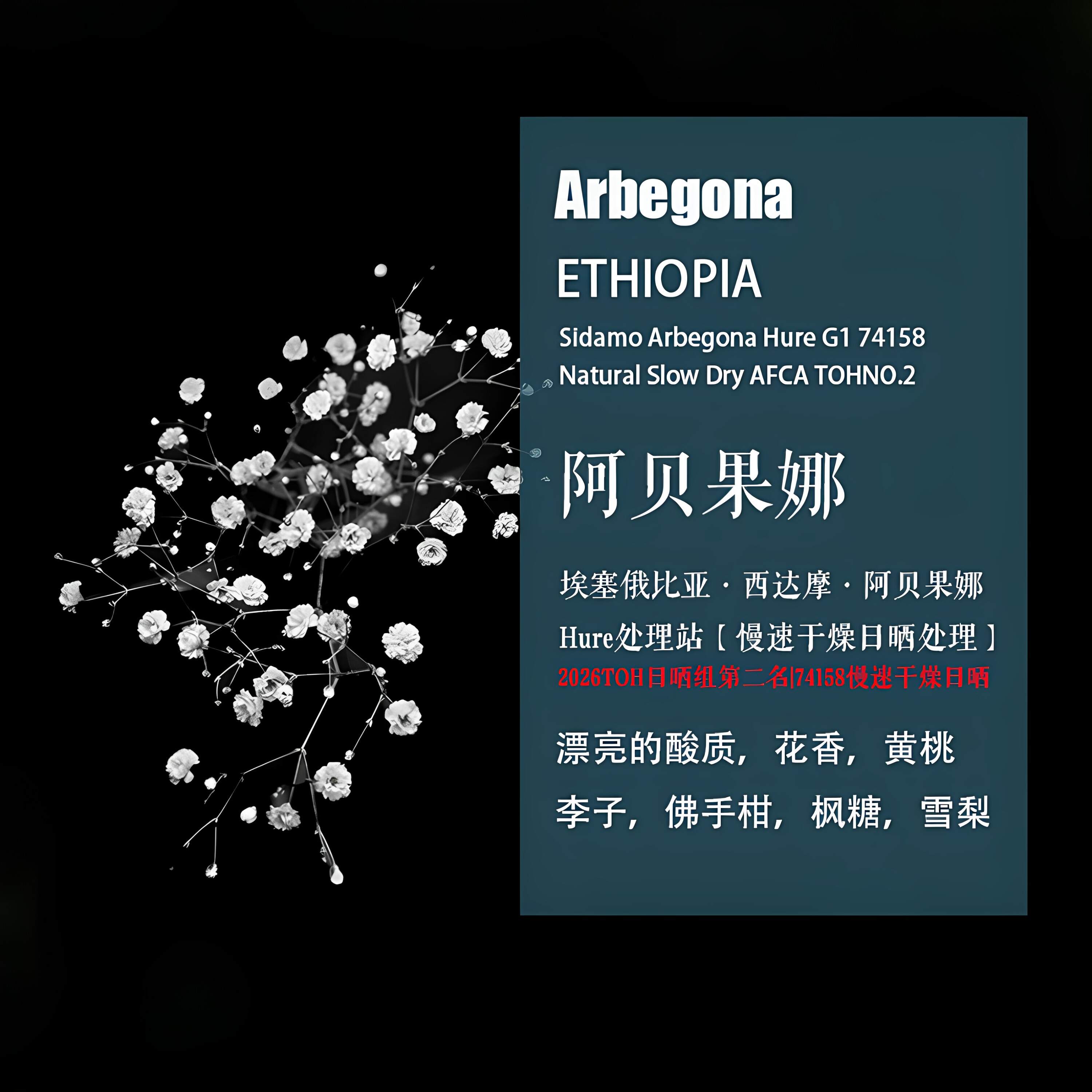 西达摩阿贝果娜咖啡豆手冲单品