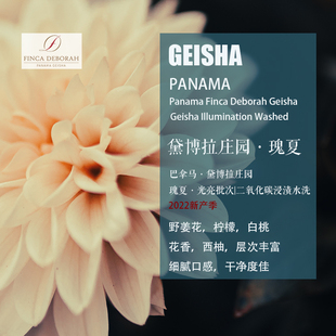 巴拿马黛博拉庄园瑰夏Geisha光亮批次水洗处理咖啡豆手冲单品轻度