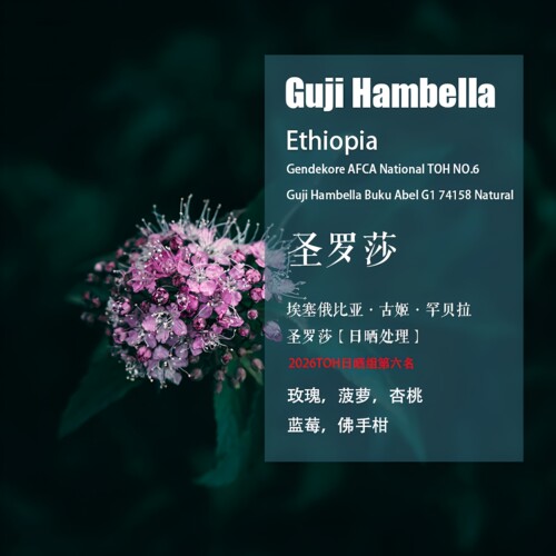 古姬罕贝拉圣罗莎日晒处理咖啡豆