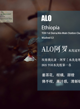 埃塞俄比亚阿罗ALO咖啡豆水洗处理2025TOH水洗组第一名手冲单品豆