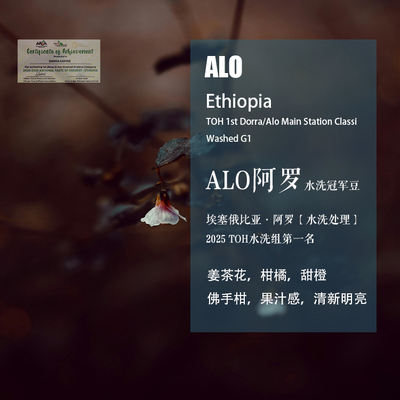 埃塞阿罗ALO手冲咖啡豆TOH第一名