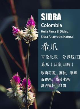 哥伦比亚分界线庄园希爪Sidra厌氧日晒咖啡豆WBC冠军同款手冲单品