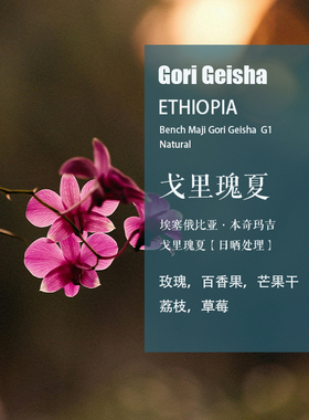 埃塞俄比亚本奇玛吉戈里瑰夏Gori Geisha咖啡豆日晒处理 手冲单品