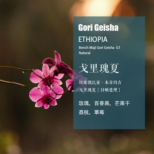 埃塞俄比亚本奇玛吉戈里瑰夏Gori Geisha咖啡豆日晒处理 手冲单品