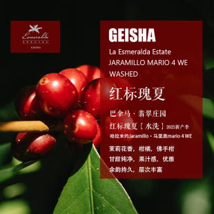 2025新产季巴拿马翡翠庄园红标瑰夏Geisha水洗处理咖啡豆手冲单品