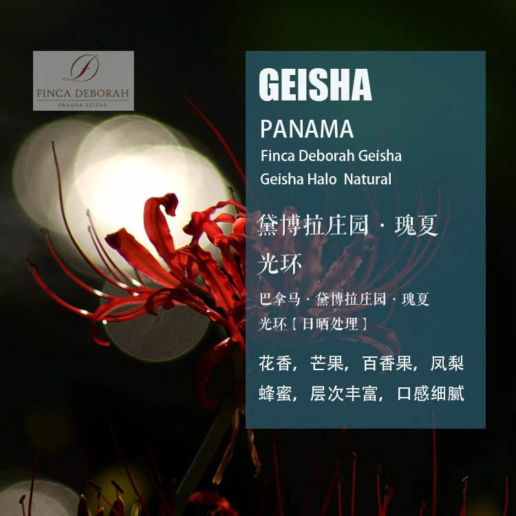 巴拿马黛博拉庄园瑰夏Geisha光环日晒处理咖啡豆 手冲单品新产季
