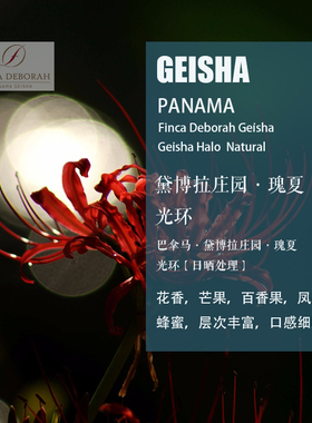 巴拿马黛博拉庄园瑰夏Geisha光环日晒处理咖啡豆 手冲单品新产季