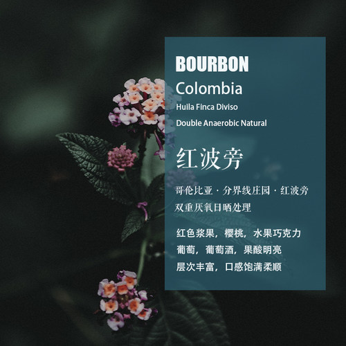分界线庄园红波旁厌氧日晒咖啡豆
