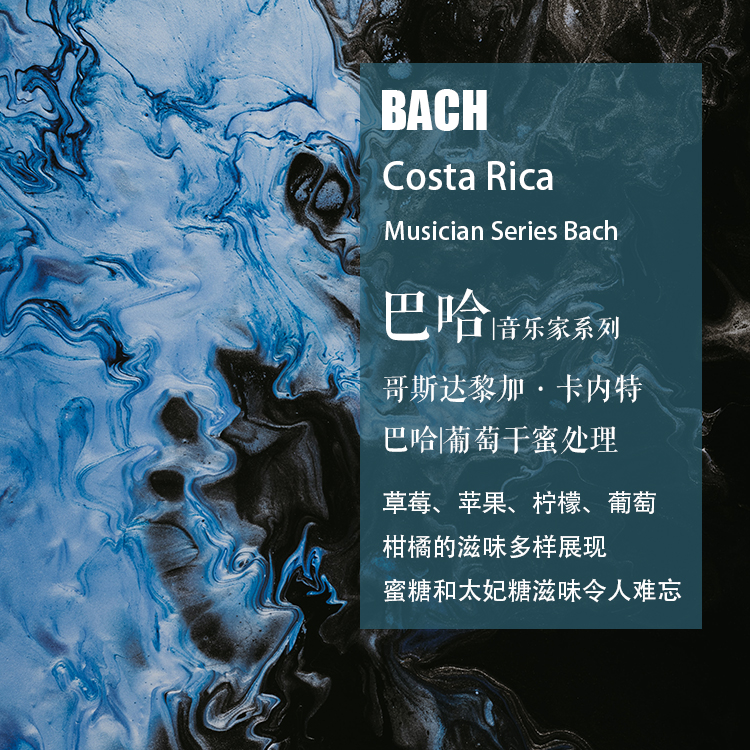 哥斯达黎加音乐家系列巴哈 葡萄干蜜处理 手冲单品咖啡豆轻度袋装