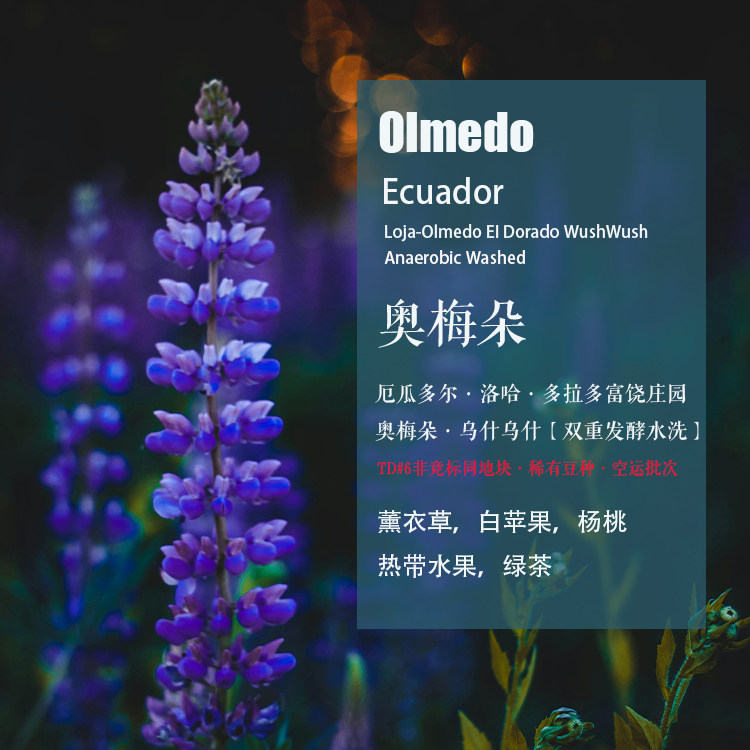 厄瓜多尔奥梅朵WushWush手冲咖啡