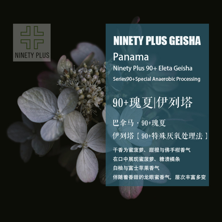 巴拿马90+庄园瑰夏Geisha咖啡豆