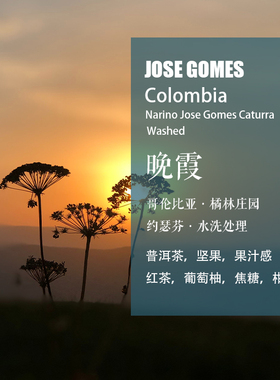 哥伦比亚橘林庄园Jose Gomes晚霞卡杜拉水洗处理咖啡豆 手冲单品
