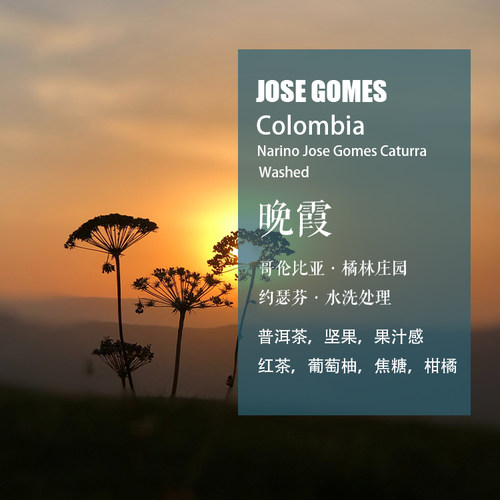 哥伦比亚橘林庄园卡杜拉咖啡豆