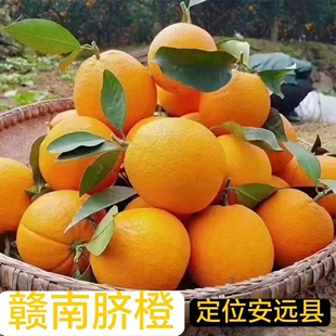 江西客家赣州橙子新鲜赣南安远脐橙整箱现摘10斤5斤包邮 精品礼盒