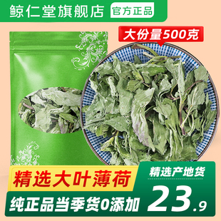 费新鲜可食用泡茶水喝 免邮 旗舰店野生中药材散装 正宗薄荷叶500g正品