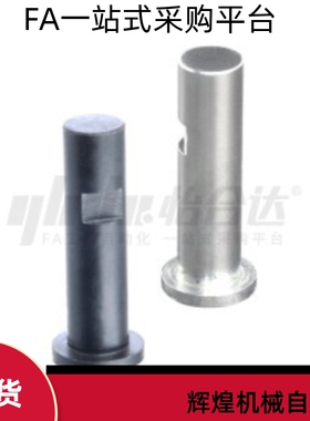 MIR01 02 03 04 05-D8 D10 D12  D13-L5 L10  -E1-F2带肩铰链销