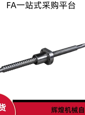 滚珠丝杠LCH02-12-4 5 10 10A 10B-L150 L200 L300 L400 L500 L60