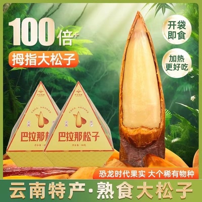 云南松子拇指大松子礼盒装
