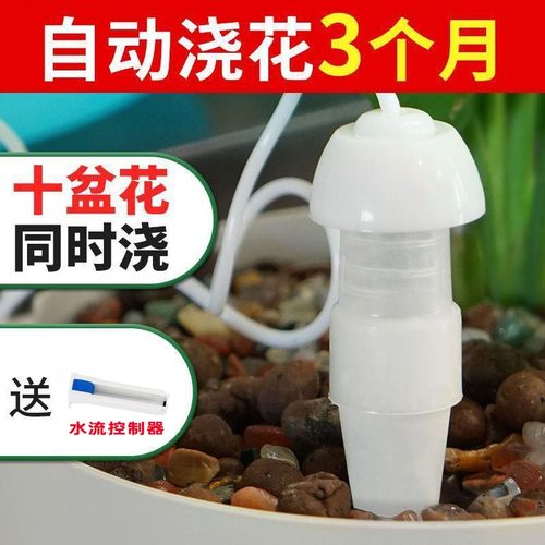 自动浇水浇花神器自动浇水一个月