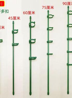 花卉支撑杆架爬藤防倒伏支架固定绿植物龟背竹园艺防断枝花架