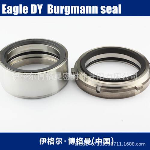 EagleBurgmann上海博格曼机械密封加泵CS203LI泵用机封水泵