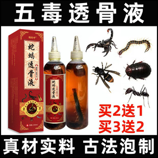 正品蛇蝎透骨液外用蝎子蜈蚣蚂蚁颈肩腰腿膝关节跌打扭伤酒追风液