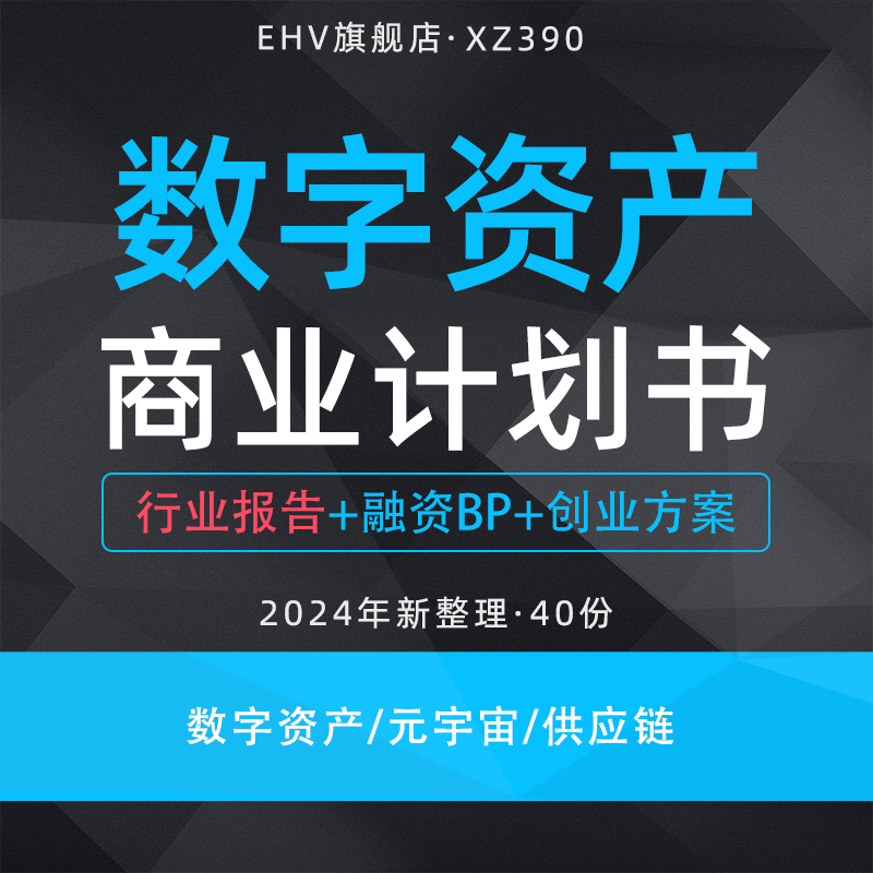 2024数字资产项目商业计划书