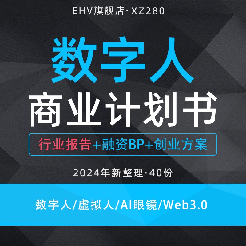 2024数字人项目商业计划书