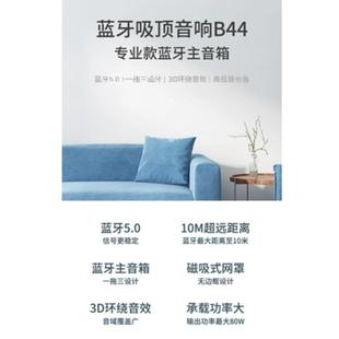 HOPE/向往B55N定阻同轴无线蓝牙吸顶音响B55停产B44和B30有货!