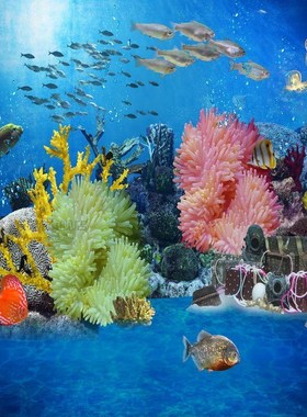 8x8FT Under Sea Treasures Box Bed Fish Corals Music Party Gi