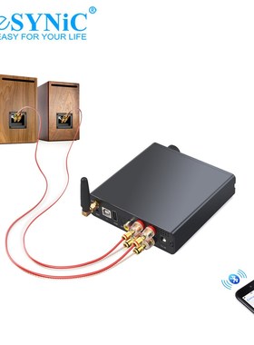 eSYNiC 192kHz Bluetooth Digital Power Audio Amplifier 100W