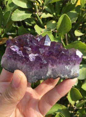 110-120g Natural Dream Amethyst Quartz Crystal Cluster Speci