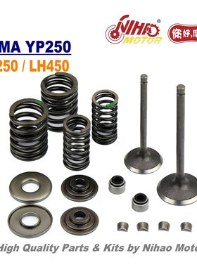 TZ-44 250cc Majesty 250 Valve Assy LINHAI Parts YP250 LH250