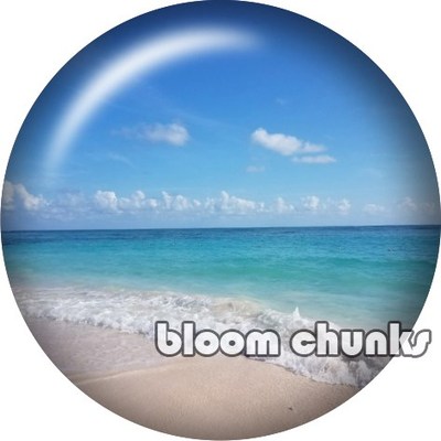 sand beach turtle anchor Round photo glass cabochon demo fla