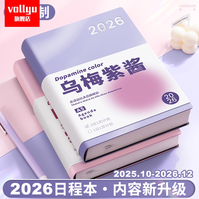 2026全年日程本计划表新款