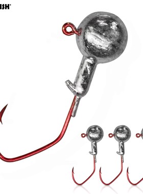 Jig-Head-Hook Lead-Head Fishing-Jigs Soft Worm 10g 5g 6g 3g