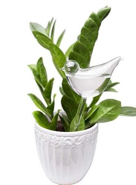 Self Watering Globe Plant Water Bulbs Bird Shape Clear Glass