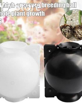 1/2/5pcs Plant Rooting Ball Grafting Rooting Growing Box Bre