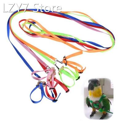 Colorful Parrot Bird Collar Harness Adjustable Hamster Turtl