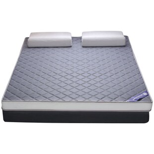 tatami mattresses 1.5/1.8x1.9 *2.0x2.2m mattress sponge mat