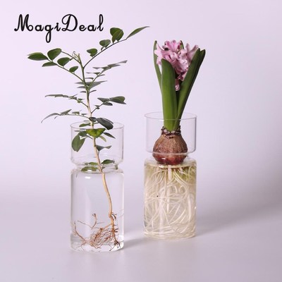 *MagiDeal Clear Hyacinth Glass Vase Creative Flower Planter