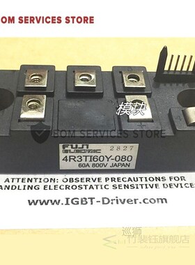 6R1TI30Y-080  4R3TI20Y-080    4R3TI60Y-080 6R1T30Y-080 4R3TI