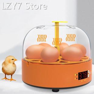 6 Eggs Eggs Incubator Chicken Incubator PID Heating Machine