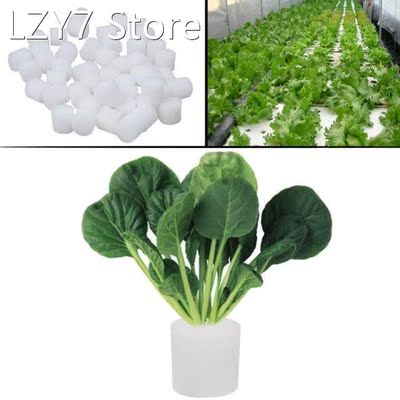 100pcs White Seedling Sponge Soilless Hydroponic Vegetables