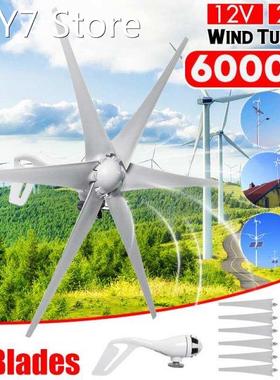 6000W 12V/24V 5 Blade Horizontal Wind Turbine Generator Whit