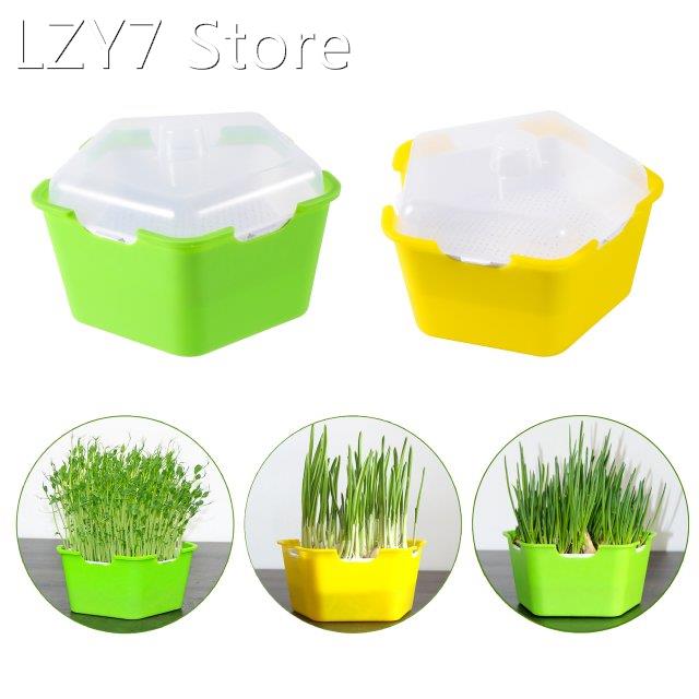 Sprouts Seedling Tray Breeding Box Cat Grass Planting Box Hy 橡塑材料及制品 其他塑料制品 原图主图