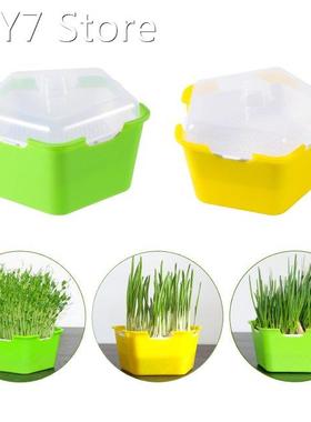 Sprouts Seedling Tray Breeding Box Cat Grass Planting Box Hy