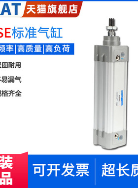 DKAT标准大气缸SE100/125*250SX300X350X400X450X500X600X700S-LB