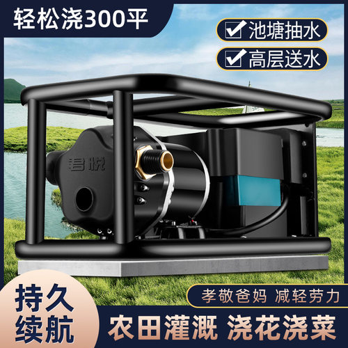 大功率抽水泵浇菜神器浇水机淋菜