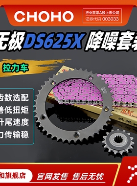 征和旗舰店适用摩托车隆鑫无极DS625X拉力车油封链条轮牙盘套装